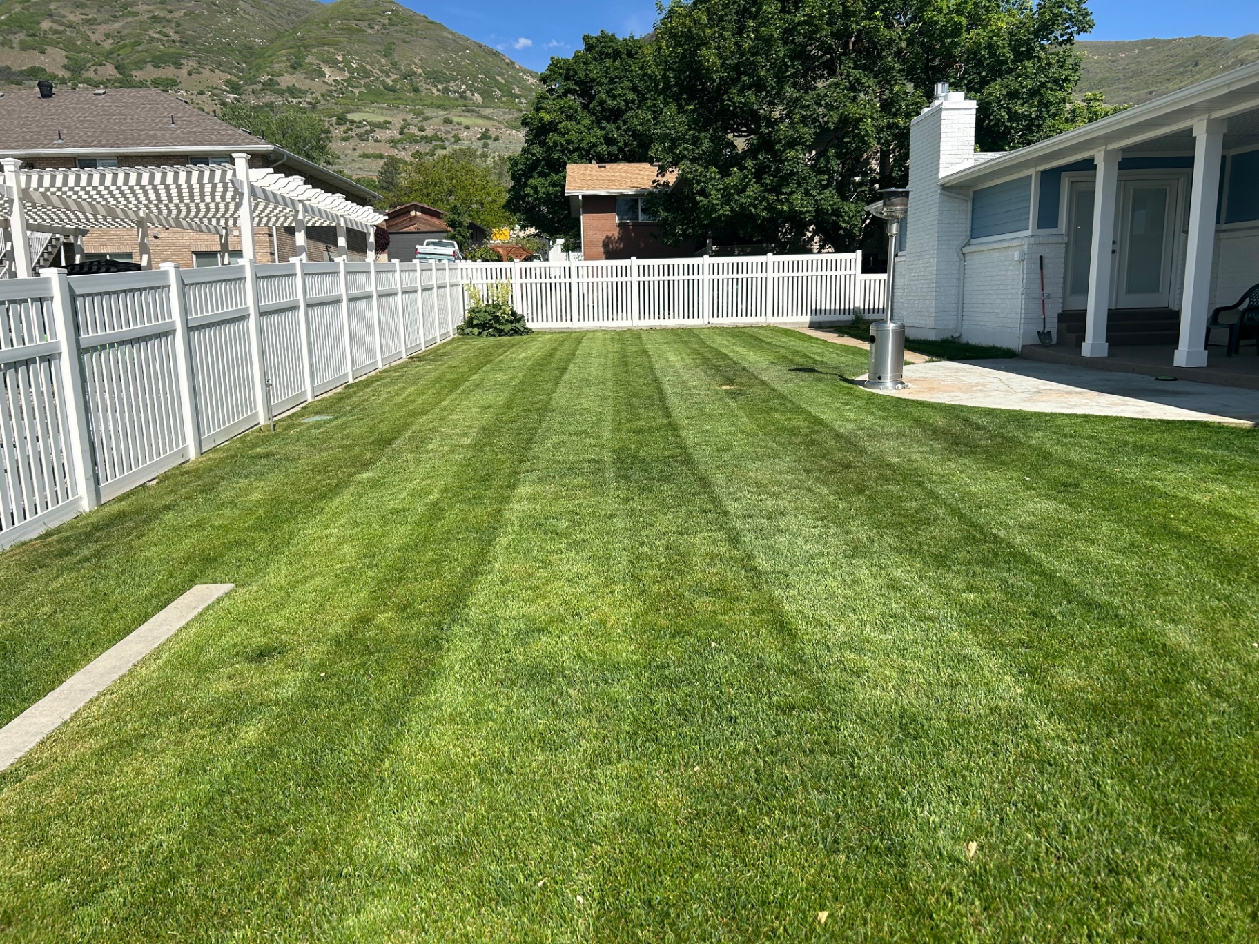 Residential backyard lawn with clean stripes and edging