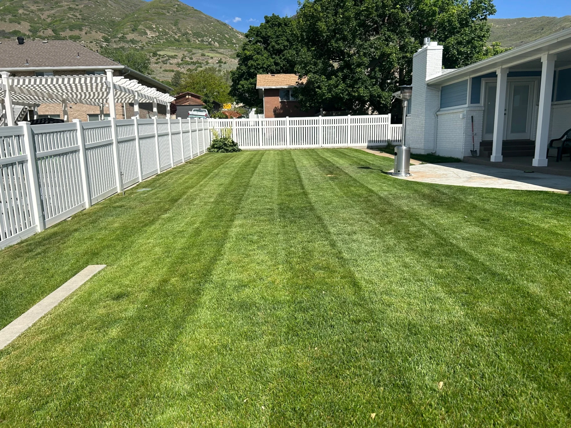 Residential backyard lawn with clean stripes and edging