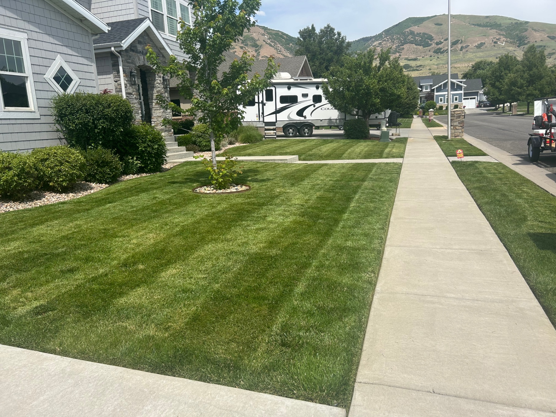 Front yard curb lawn with sharp edges and healthy turf