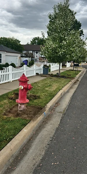 Parking strip before gravel install