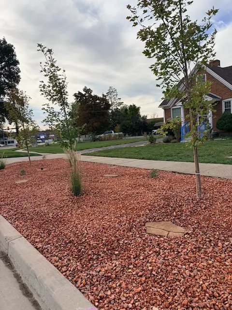 Front yard with red rock, stepping stones, and newly planted trees